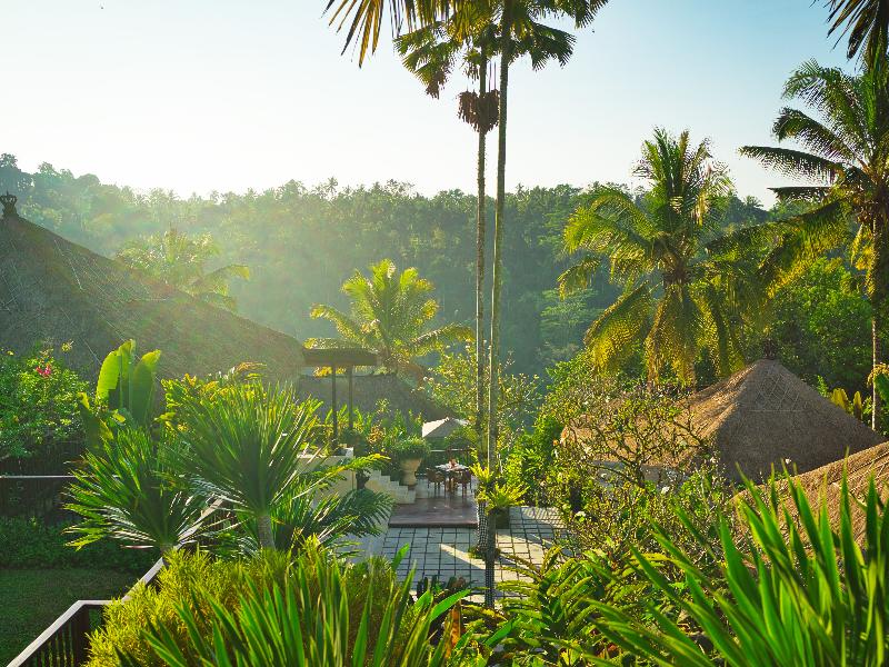 Nandini Jungle by Hanging Gardens - Oda