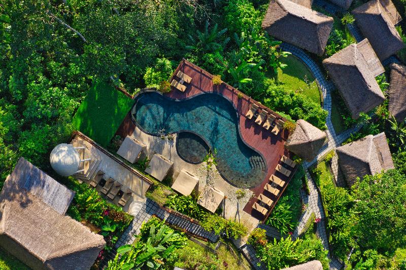 Nandini Jungle by Hanging Gardens - Havuz