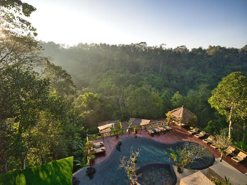 Nandini Jungle by Hanging Gardens - Havuz