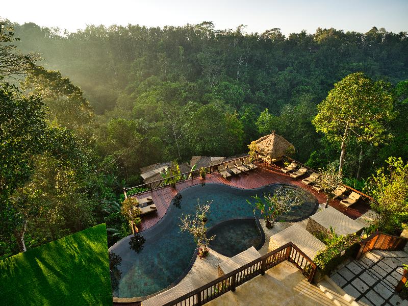 Nandini Jungle by Hanging Gardens - Havuz