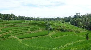 Villa Semana Resort & Spa Ubud fotoÄŸrafÄ±