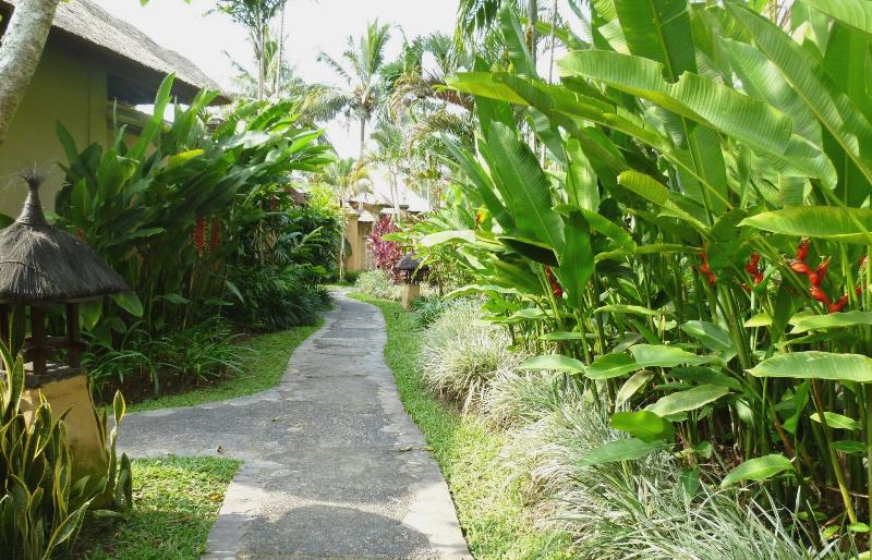 Villa Semana Resort & Spa Ubud - Genel