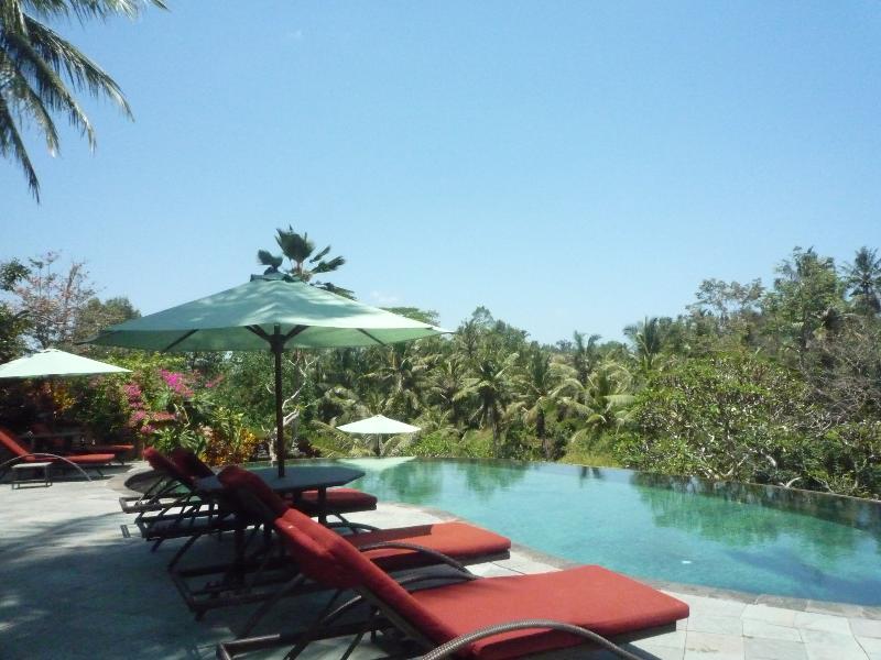 Villa Semana Resort & Spa Ubud - Havuz