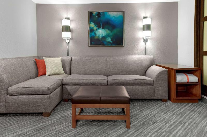 Hyatt Place Secaucus/Meadowlands - Oda