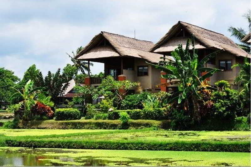 Tegal Sari-Ubud fotoÄŸrafÄ±