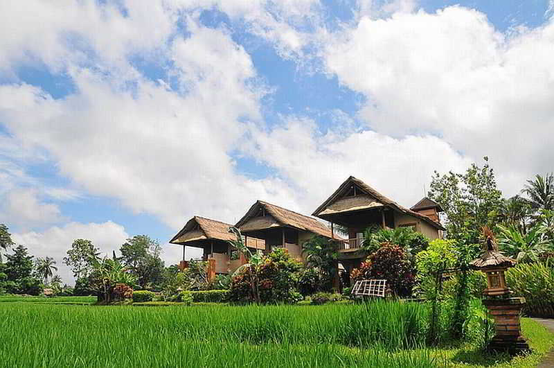 Tegal Sari-Ubud fotoÄŸrafÄ±