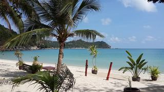 Havana Beach Resort Koh Phangan fotoÄŸrafÄ±