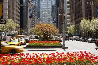 Loews Regency New York fotoÄŸrafÄ±