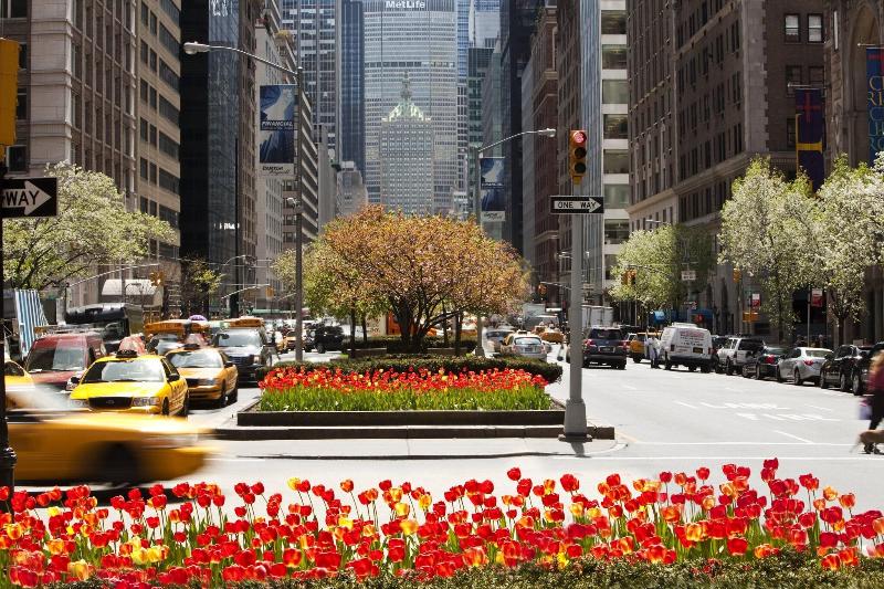 Loews Regency New York - Genel