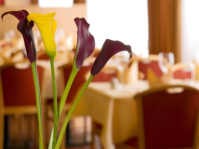 Mühlenhotel Halle-Leipzig - Genel