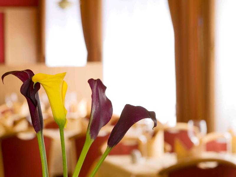 Mühlenhotel Halle-Leipzig - Restoran