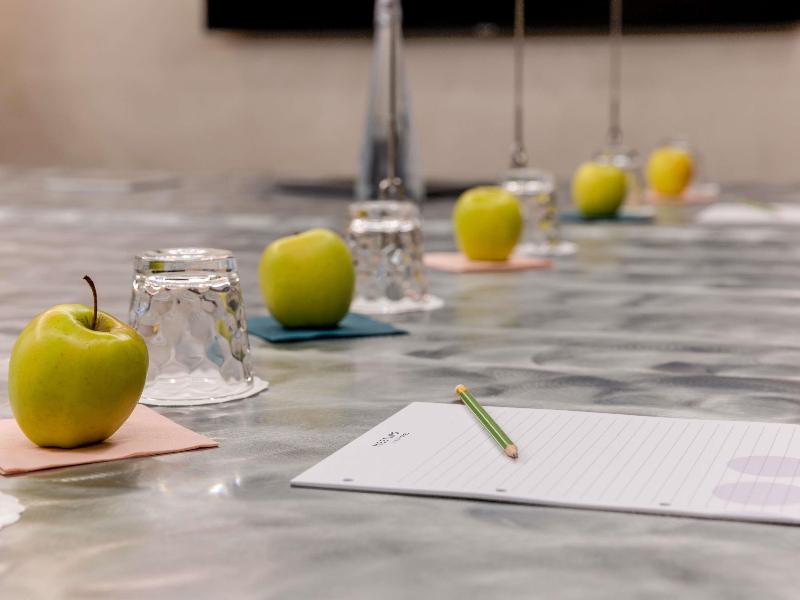 Novotel Lausanne Bussigny - Toplantı
