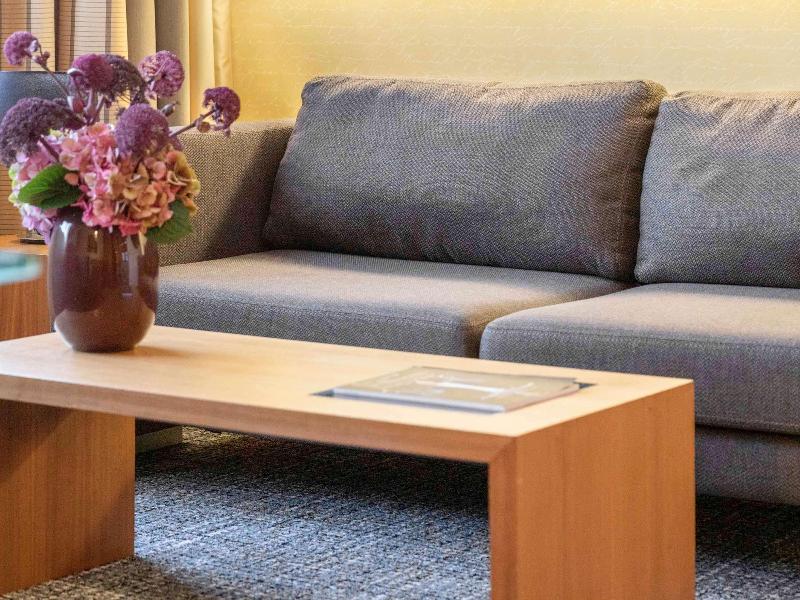 Pullman Eindhoven Cocagne - Oda