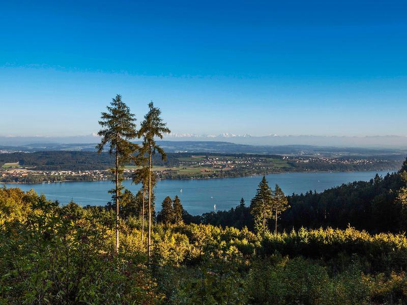 Mercure Plaza Biel - Aktivite