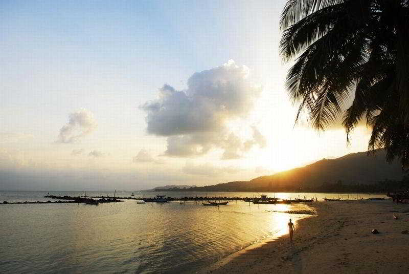 Samaya Bura Beach Resort (SHA Extra Plus+) fotoÄŸrafÄ±
