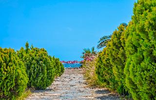 Bendis Beach fotoÄŸrafÄ±