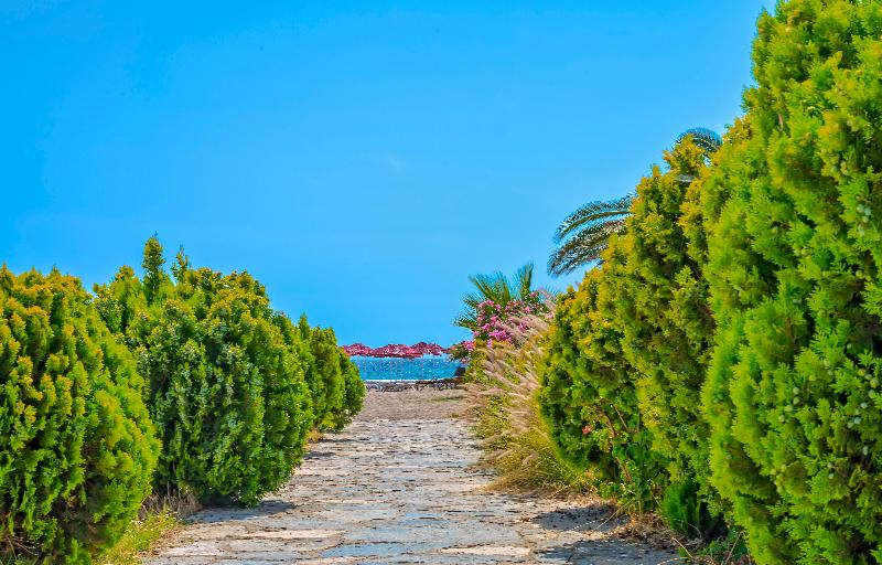 Bendis Beach - Genel