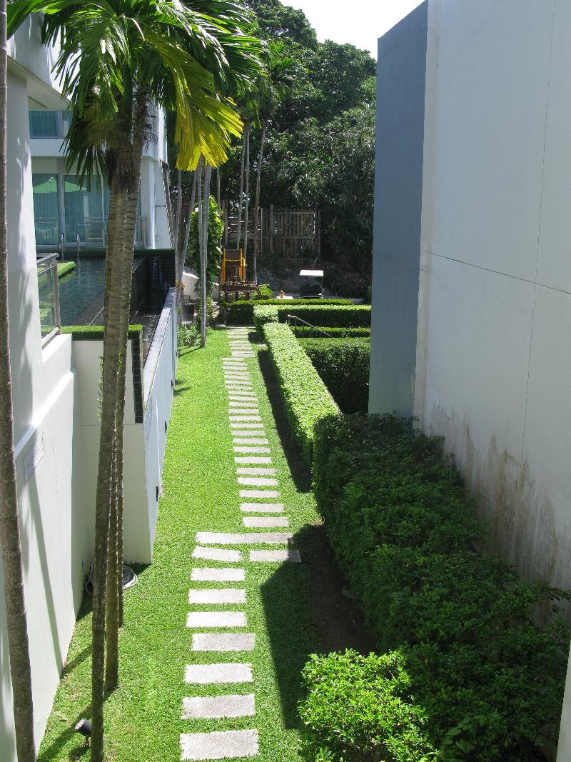 Sugar Palm Grand Hillside - Genel