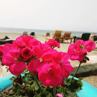 Miss Cleopatra Hotel fotoÄŸrafÄ±