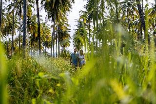 JW Marriott Khao Lak Resort & Spa fotoÄŸrafÄ±