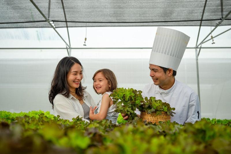 JW Marriott Khao Lak Resort & Spa - Genel