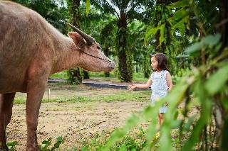 JW Marriott Khao Lak Resort & Spa fotoÄŸrafÄ±