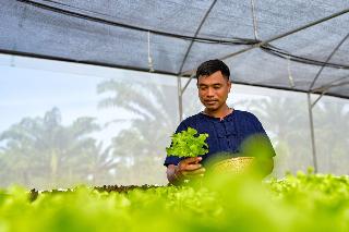 JW Marriott Khao Lak Resort & Spa fotoÄŸrafÄ±