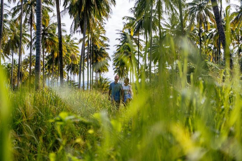 JW Marriott Khao Lak Resort & Spa - Genel