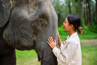 JW Marriott Khao Lak Resort & Spa fotoÄŸrafÄ±