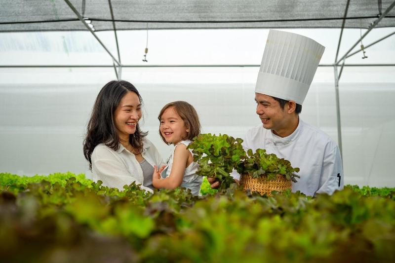 JW Marriott Khao Lak Resort & Spa - Genel