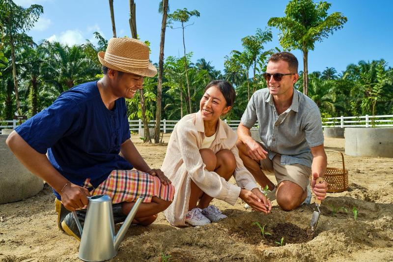 JW Marriott Khao Lak Resort & Spa - Genel