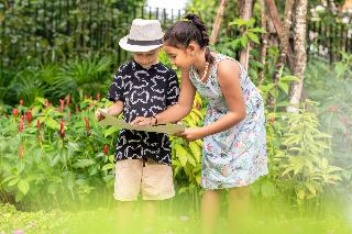 JW Marriott Khao Lak Resort & Spa fotoÄŸrafÄ±