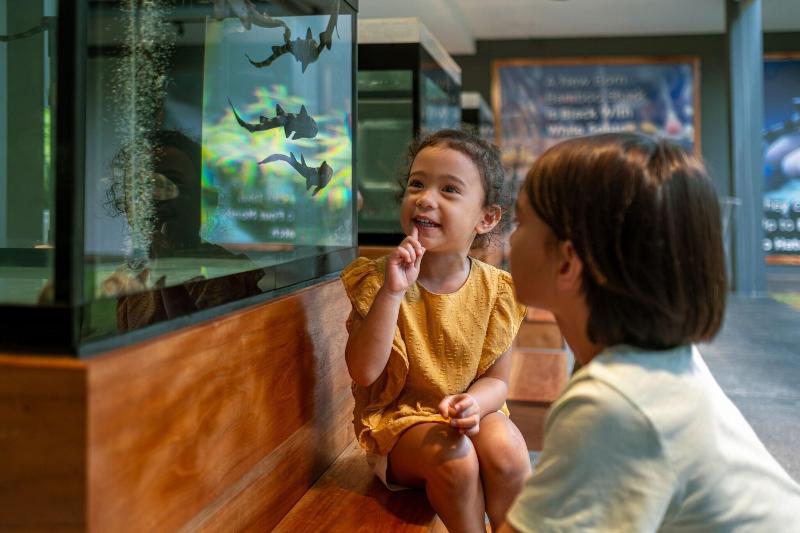 JW Marriott Khao Lak Resort & Spa - Genel