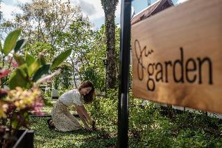 JW Marriott Khao Lak Resort & Spa fotoÄŸrafÄ±