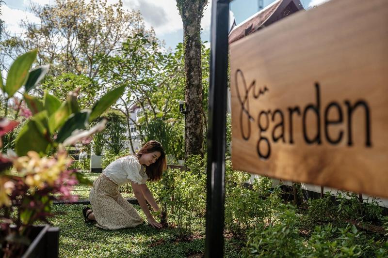 JW Marriott Khao Lak Resort & Spa - Genel