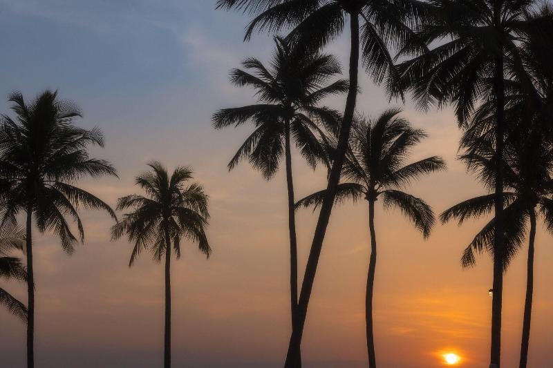 JW Marriott Khao Lak Resort & Spa - Plaj