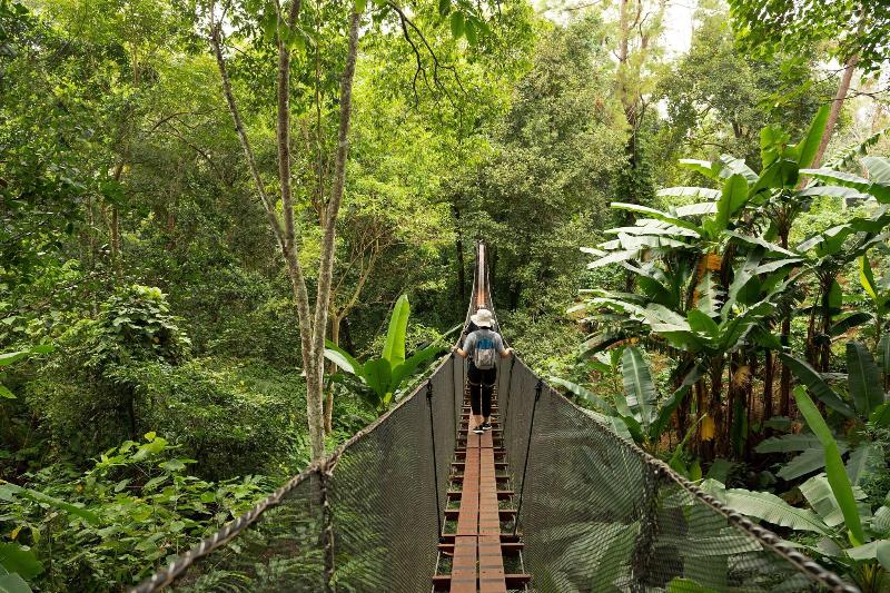 Le Meridien Chiang Rai Resort, Thailand - Genel