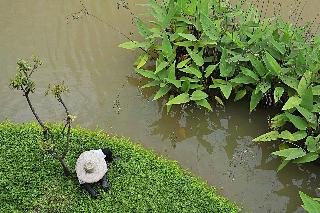 Le Meridien Chiang Rai Resort, Thailand fotoÄŸrafÄ±