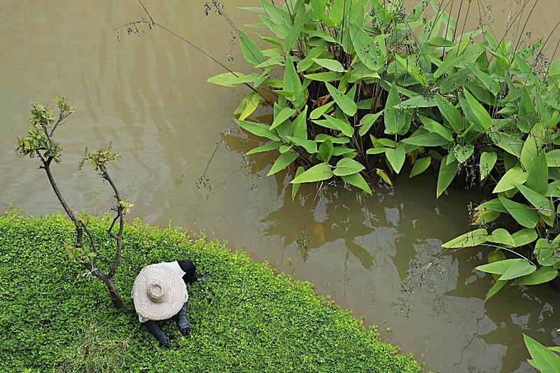 Le Meridien Chiang Rai Resort, Thailand - Genel