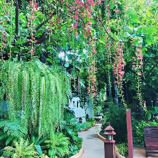 Yantarasri Resort fotoÄŸrafÄ±