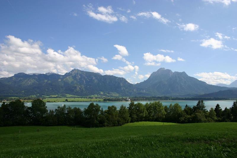 Muller - Oda