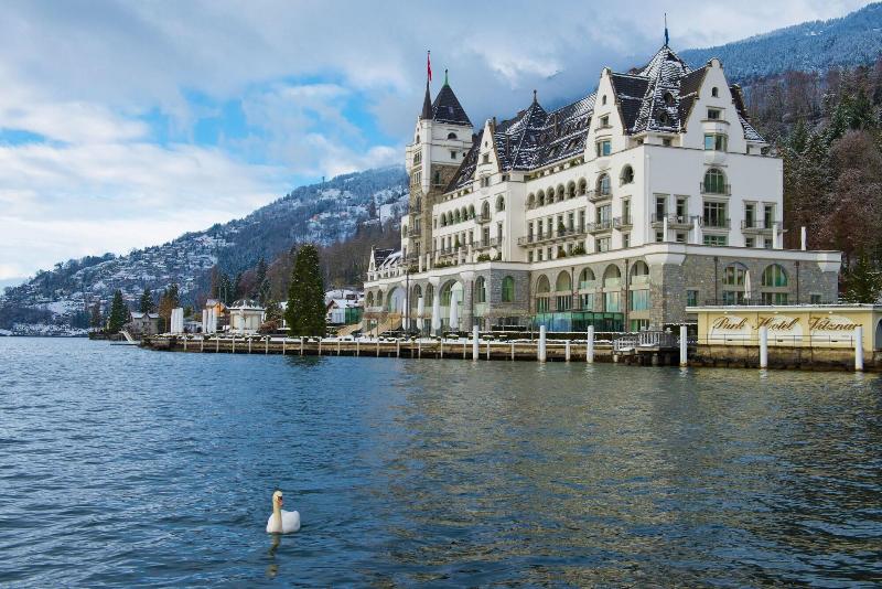 Park Hotel Vitznau - Genel