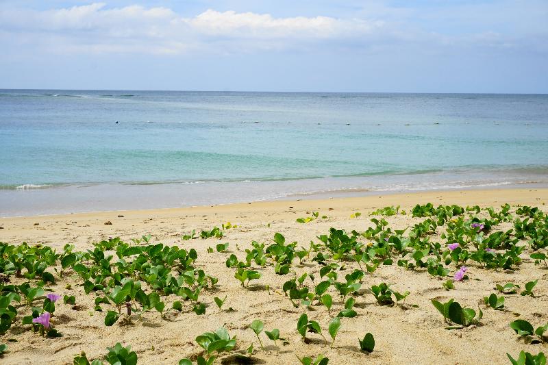 Dewa Phuket Resort and Villas - Plaj