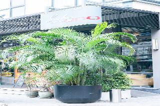 Sachas Hotel Uno Asoke Sukhumvit Bangkok fotoÄŸrafÄ±