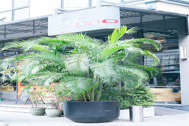 Sachas Hotel Uno Asoke Sukhumvit Bangkok - Genel