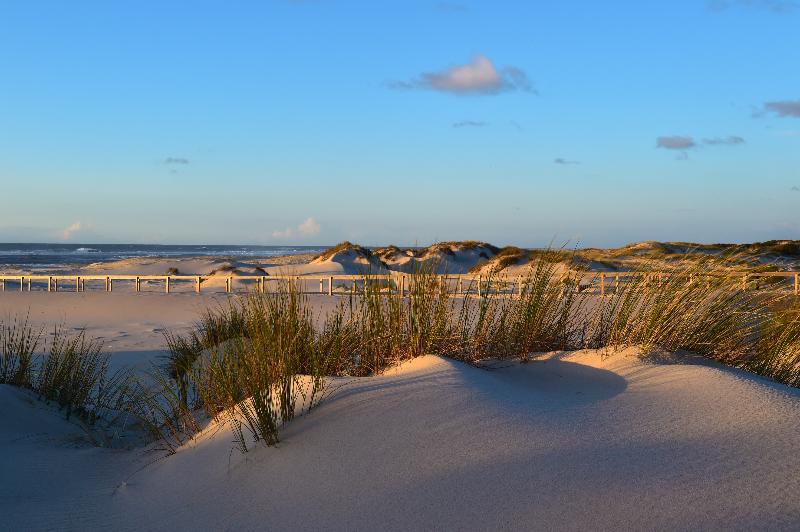 Pousada Ria – Aveiro - Plaj