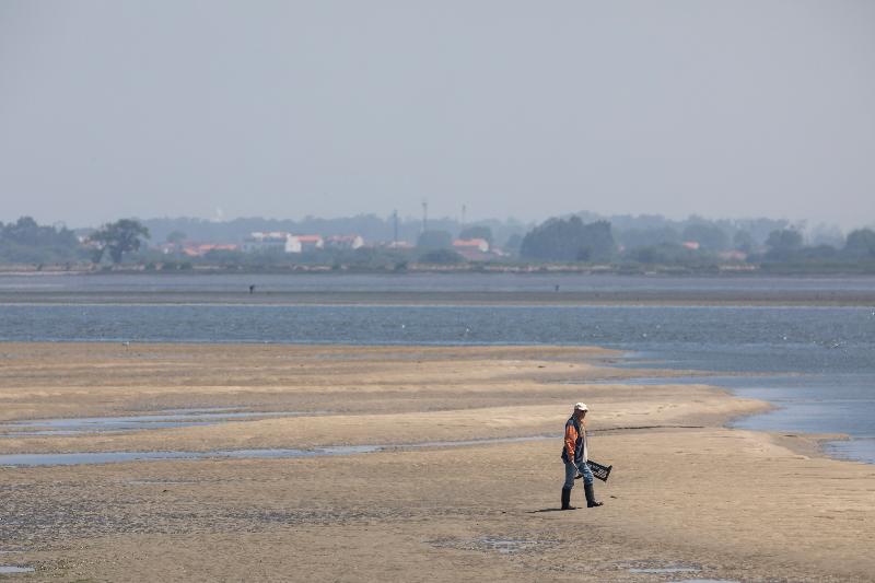 Pousada Ria – Aveiro - Plaj