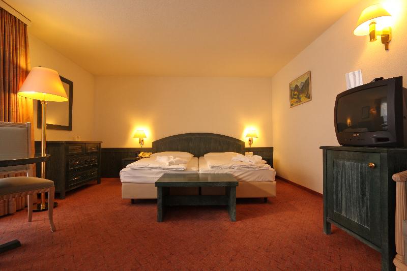 Central Swiss Quality Sporthotel - Oda