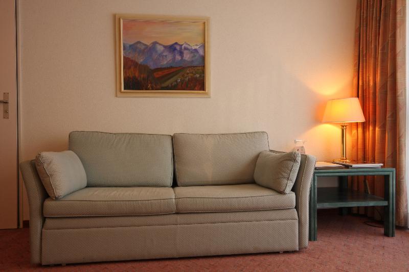 Central Swiss Quality Sporthotel - Oda