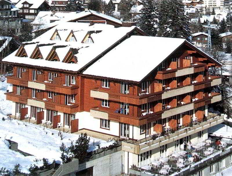 Steinmattli Hotel otel fotoğrafı